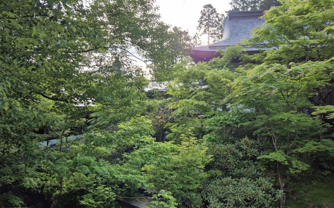 Ochtendglore in Koya Japan - Essentiële oliën voor een verfrissend ochtendritueel