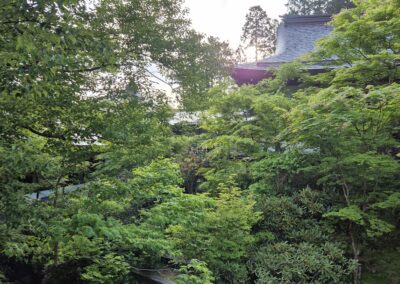 Ochtendglore in Koya Japan - Essentiële oliën voor een verfrissend ochtendritueel