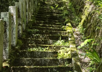 oude hike route naar de grote bomen en wortels Mount Kurama Kyoto Japan