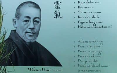 Reiki leefregels: een hulp voor iedere dag